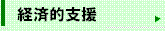 経済的支援
